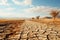 The stark beauty of a drought-ravaged desert reflects the global warming crisis