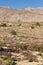 Stark dry southern California desert with blue sky, lonely empty and desolate, adventure hiking camping solitude, peaceful