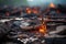 A stark image of a forest ravaged by a recent wildfire. Charred trees and blackened earth dominate the landscape