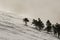 Stark pine trees against snow mountain and fog, black and white landscape, scottish glen, glen rinnes, march.