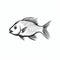 Stark And Simple Black And White Fish Illustration