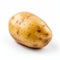 Stark And Unfiltered: A Humble Charm Of A Potato On White Background