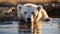 A stark visual representation of global warming and climate change, a polar bear stranded on a melting ice floe. Generative ai