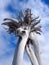 Stark white dead tree inverted tree against clouds and blue sky