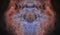 Starless mirrored rosette nebula