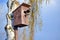 Starling on the birdhouse