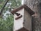 Starling near the birdhouse. Artificial bird& x27;s nest