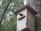 Starling near the birdhouse. Artificial bird& x27;s nest