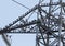 Starlings on electricity pylon