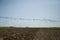 Starlings and lapwings ready for migration over the field. Flock of birds flying to south in autumn.