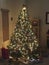 A Starry Christmas Tree on Christmas Eve