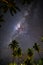 Starry night above Palm trees on the tropical island of Samoa