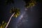 Starry night above Palm trees on the tropical island of Samoa