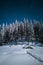 Starry night in the Carpathians. Winter Landscape