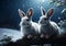 Starry Night Companions: Two Snow Bunnies on Snow-Covered Tree Log