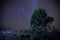 Starry night patagonia
