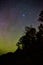 Starry night sky with faint glow of aurora lights and silhouette of forest line