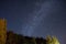 Starry night sky over pine forest