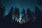 Starry Night Sky Over Silhouetted Pine Forest, AI Generated