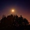 Starry sky and bright moon above forest by fiery night sky