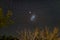 The starry sky and the majestic Magellanic Clouds, outstandingly bright, captured in Africa. Acacia trees and straw hut in the for