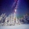 Starry sky and trees in hoarfrost. Carpathians, Ukraine, Europe