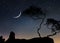 Starry  sky trees silhouette on front night   moon dramatic  blue nebula panorama nature weather forecast