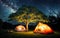 Starry Tranquility Camping Under the Celestial Canopy