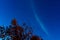 Stars and the milky way on a blue sky at night on leaves and branches of the tree with the reflection.