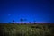 Stars Over Everglades Prairie