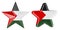 Stars with Palestinian flag, 3D rendering