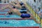 Start of backstroke swimming during Salnikov Cup