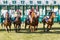 Start of the gallop race for arabian gallop race horses and colorful jockeys