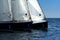 Start of sailing race