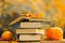 Start school and college season concept. Back to school.Autumn thematic reading. Books and pumpkins in autumn garden