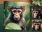 Starter Instagram post design template for Monkey