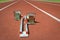 Starting blocks on tartan running track