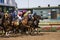 Starting Gate at Lone Star Park