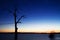 Startrails around Old tree in lake