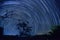 Startrails and silhouette of a tree