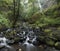 Starvation Creek Falls in the Columbia Gorge, Oregon, Taken in Autumn