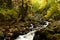 Starvation Creek Falls Landscape, Columbia River Gorge, Oregon