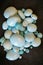 Stash of turqoise and pale blue globular beads stacked in a pile