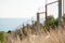 State border razor barbed wire and fence along sea shore and forest