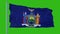 State flag of New York waving in the wind against green screen background