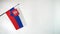 State flag of Republic of Slovakia waving on light background. Slovak flag and place for text