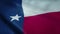 State flag of Texas waving in the wind. Seamless loop with highly detailed fabric texture