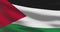 State of Palestine national flag footage. Palestinian waving country flag on wind
