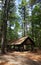 State Park Shelter with Pine Trees