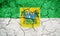 State of Rio Grande do Norte, state of Brazil, flag